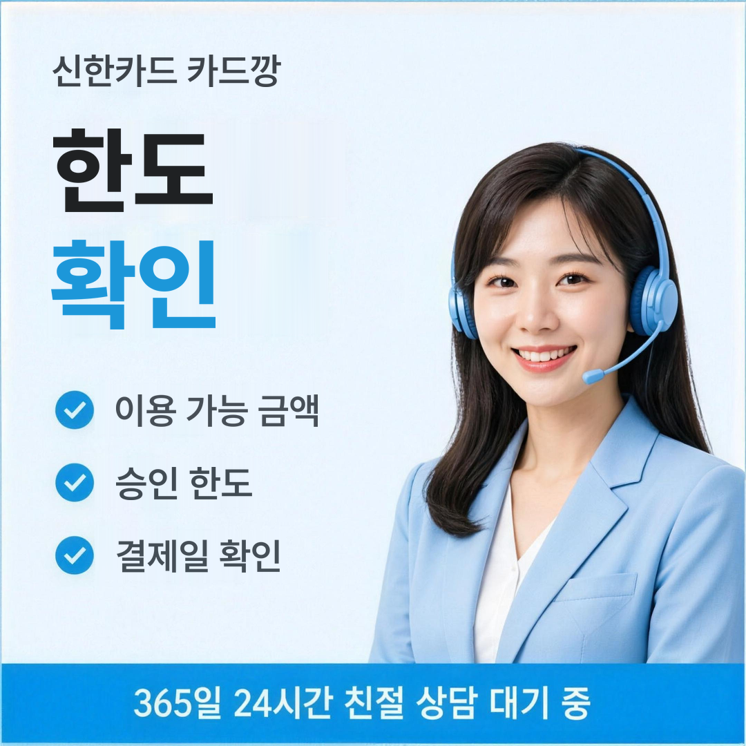 다음머니 신한카드 카드깡 한도 확인 안내 배너 이미지
